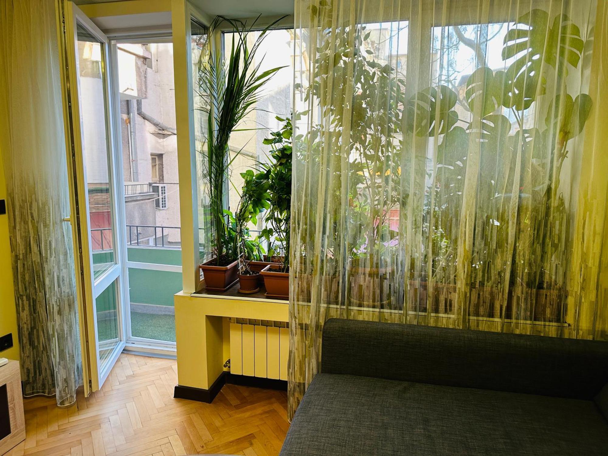 Luxury Oasis In Absolute Center Of Sofia Apartment Exterior photo